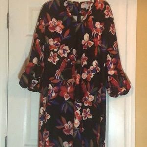 NY & Company Black Floral Belle Sleeve Dress